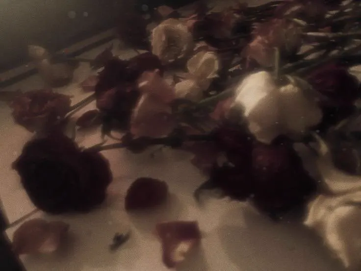 Floral imagery from the Holy Touch programme